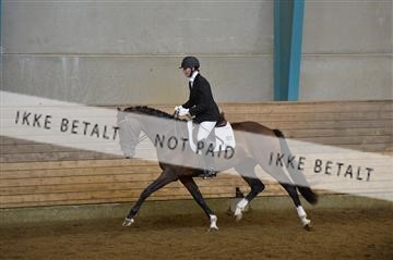 144288_abo_01__AB22396.JPG