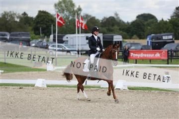 156716_mlm_04_IMG_9239.JPG