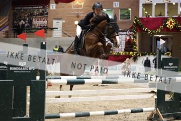 175934_avh_02_7375.JPG