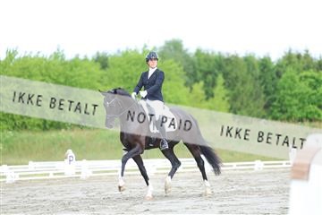 174661_kbb_01_R6II6437.JPG