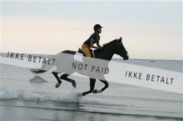 110-1045_IMG.JPG