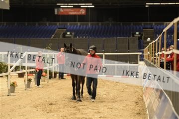 142649_abo_01__AB15465.JPG