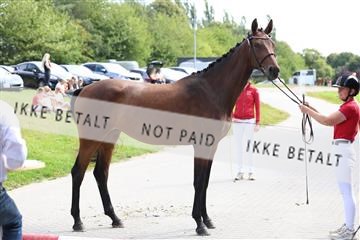 181804_mlm_01_R62_8232.JPG