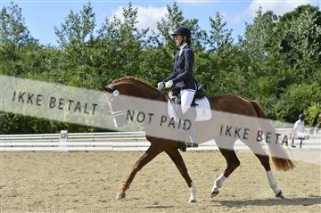 136195_abo_01__AB15977.JPG