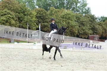 181923_mtp_01_R62_6851.JPG