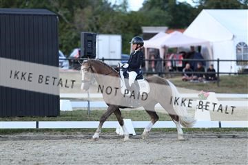 181894_mtp_05_R62_5146.JPG