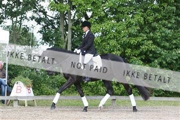 135518_ms_01_IMG_0392.JPG