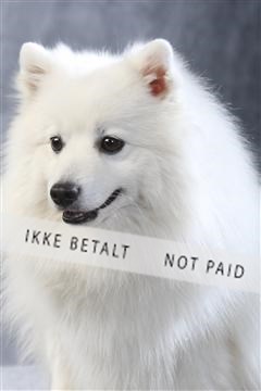 129608_le_ 01_0826.JPG