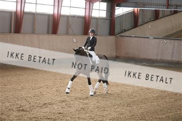 173782_mtp_01_3M5A6936.JPG