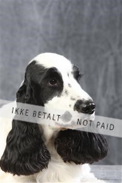 129608_le_ 01_0523.JPG