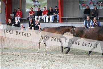 181868_mtp_03_R62_5829.JPG