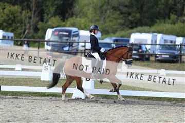181894_mtp_05_R62_5325.JPG