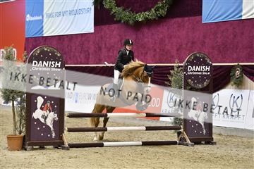 161006_abo_01__D050737.JPG