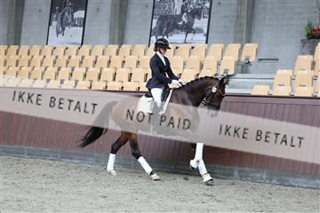181852_mtp_02_R62_1626.JPG