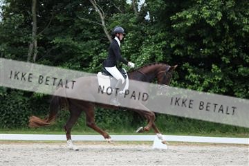 172073_mtp_01_3M5A2891.JPG