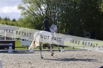 179330_avh_01_5024.JPG