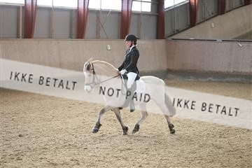 173782_mtp_01_3M5A7011.JPG