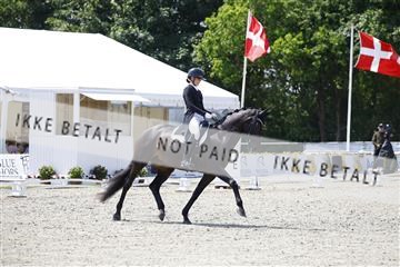 181449_kbb_02_6II0581.JPG