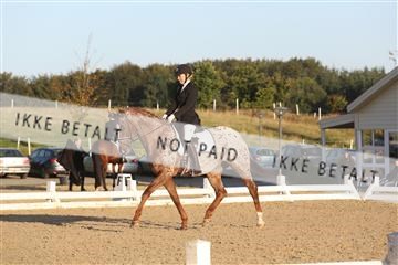 148862_sg_01_IMG_2199.JPG