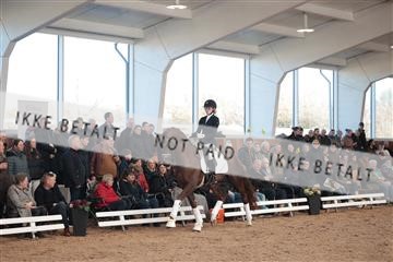 179022_kbb_01_R6II2529.JPG