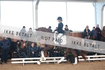 179022_kbb_01_R6II2557.JPG