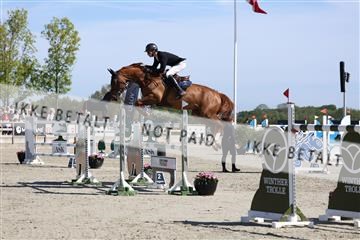 181436_avh_02_3550.JPG