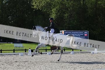 179330_avh_01_5027.JPG