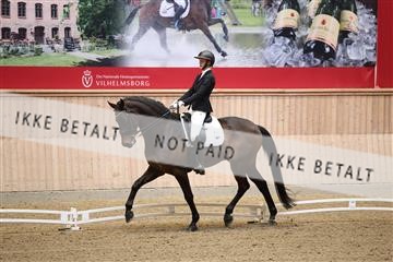 174186_kbb_01_R6II4610.JPG