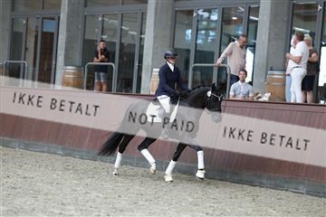 181852_mtp_05_R62_3341.JPG