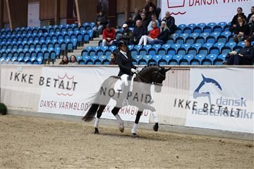 R62_5337.JPG