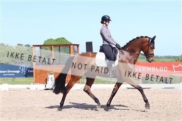 181449_bc_01R62_6080.JPG