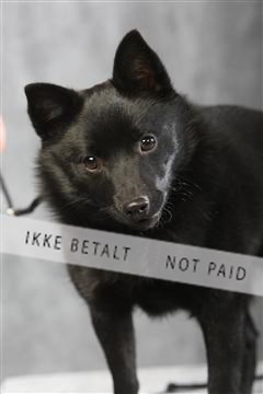 129608_le_ 01_0648.JPG