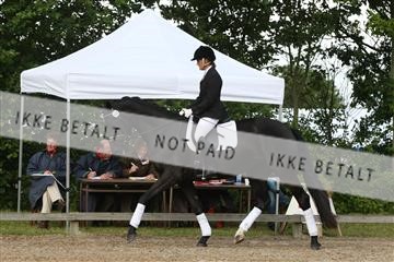 135518_ms_01_IMG_0393.JPG