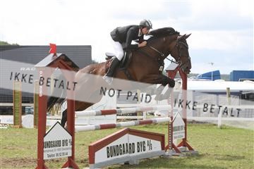 5925_ma_05_IMG_0907.JPG