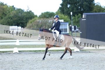 181894_mtp_05_R62_5471.JPG