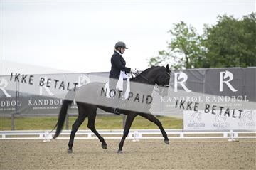181449_kbb_04_Z092909.JPG