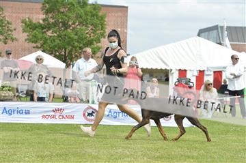 168981_bkn_01__MHR0338.JPG