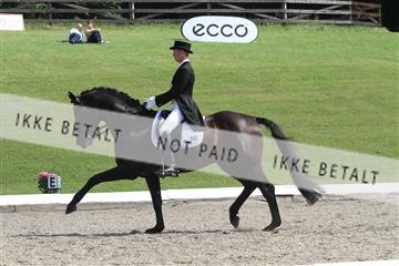 135676_sg_01_IMG_7983.JPG