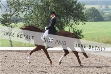 135676_sg_01_IMG_7385.JPG