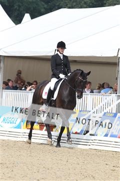 125527_BC_02_IMG_7470.JPG