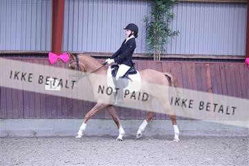 173883_mtp_01_3M5A0484.JPG