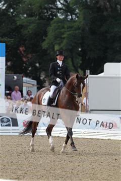 125527_BC_07_IMG_9472.JPG