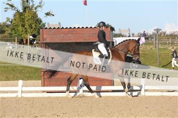 148862_sg_01_IMG_2641.JPG