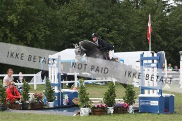 5925_ma_05_IMG_1481.JPG