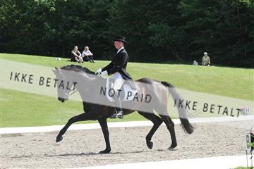 135676_sg_01_IMG_7981.JPG