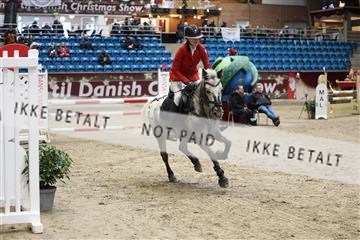 175934_avh_02_7638.JPG