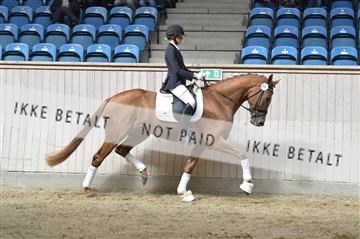 160111_nn_01__ESK2192.JPG