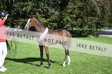 181957_kbb_03_Z091152.JPG