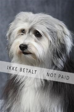 129608_le_ 01_0346.JPG