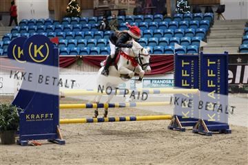 175934_avh_02_7549.JPG